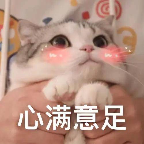 超强！AI一键抠图升级Plus版