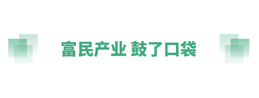 奋进的春天丨不负春时农桑忙