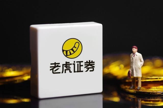 老虎证券最低(老虎证券收费标准)