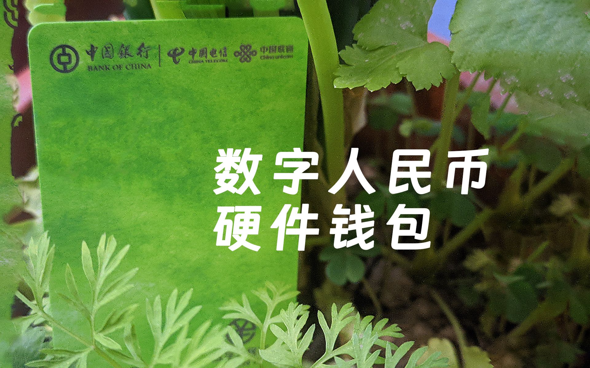 BAC数字货币(bac数字货币合法吗)