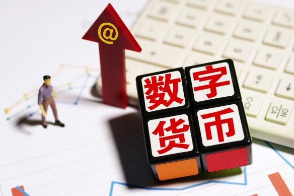 虚拟电子货币(虚拟电子货币能否在现金经济社会长期存在)